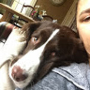 Meet your Posher, Dawn